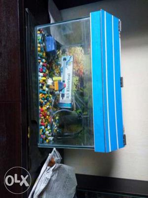 Fish Tank with bluehood