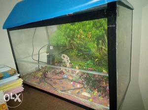 Fish aquarium every thing included urgent sell...