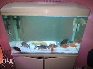 Fish aquarium size..2.5ft condition mint all