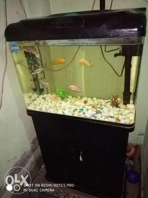 Fish aquarium with wooden table excellent