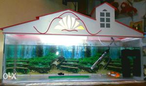 Fish tank with red colour top