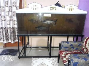 Fish tank with stand and with fish