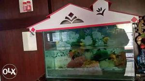 Fish tank without motor 30 by 20 inches