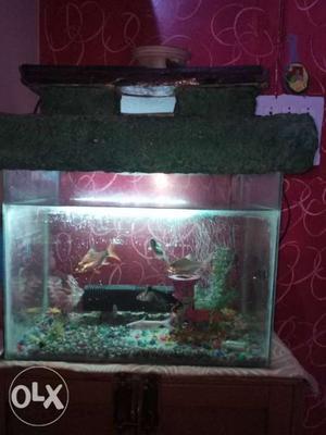 I sale my aquarium tank in vry good condition