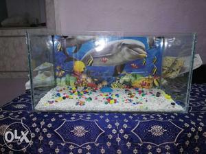 I want sell new aquarium With all accessories