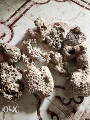 Marine Dead Coral.9 to 10 kg...