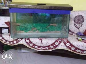 New 8mm 3 feet fish tank with all accessories and