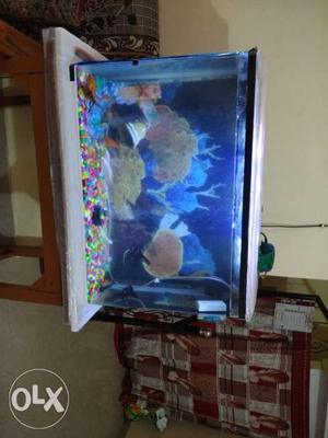 New aquarium with 8 fish toy and filter