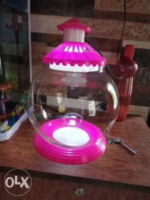New fish bowl at low cost with light and white