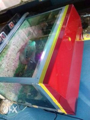 Only 2ft aquarium 6mms.or white stones..new