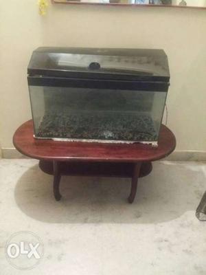 Rectangular Black Framed Clear Pet Tank