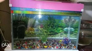 Size- Big Aquarium and with Fish is just only