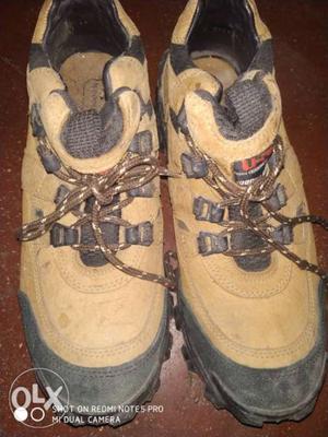 Pair Of Brown-and-black Woodland Hiking Shoes