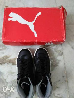 Puma sneker  mid dp in brand new condition