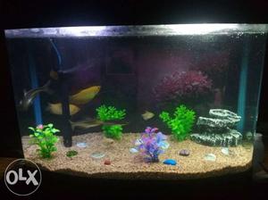 2ft aquarium with all accessories available with
