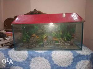 3feet aquarium with stand and decorative