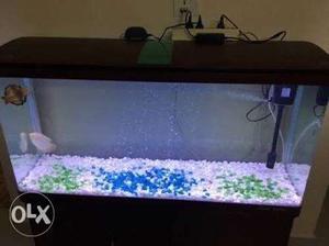 All size aquarium available for sale..