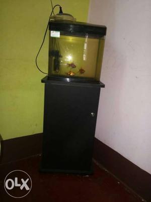 Aquarium with filter light and wooden stand its