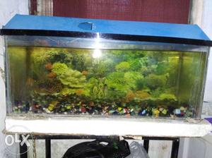 Aquarium with stones and motor..