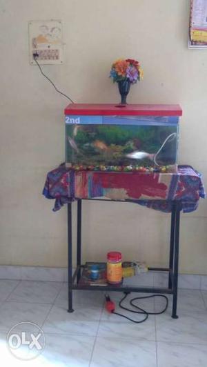 Aquarium with stones food fishes filter n stand