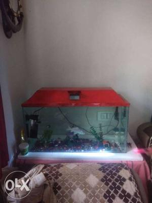 Big Fish Tank with Filter, artificial