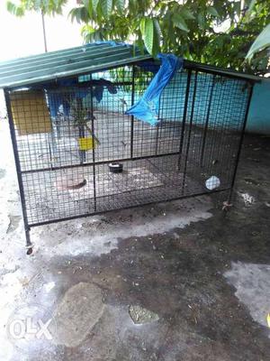 Cages. For dogs exotic birds or cats very spacious.