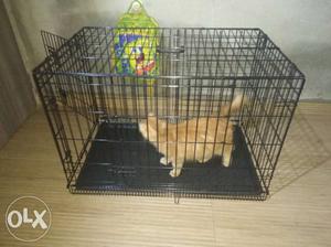Cat and dog folding cage 36 inches only 2 day use