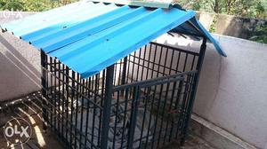 Dog cage and Aquarium tank