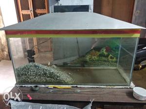 Fish Aquarium 3foot.. Available for sale..