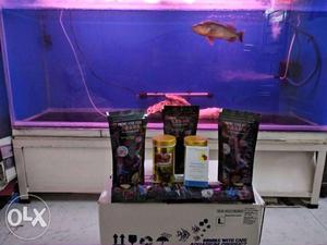 Fish Food for all Fish Tank Fishes Gold Fish Guppy