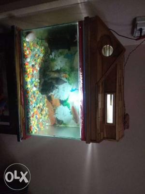 Fish Tank/aquarium