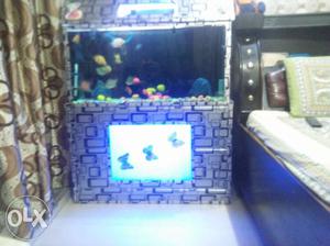 Fish acqurium for home