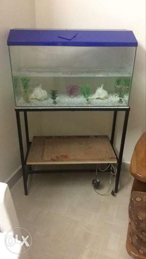 Fish aquarium with stand, plants & rocks