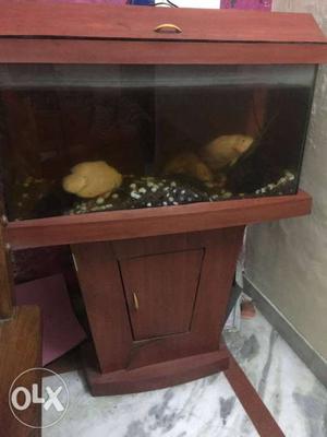 Fish aquarium wooden stand and tank. Prices
