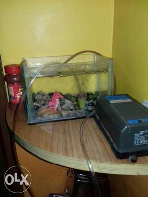 Fishtank with motor and food urgent special price