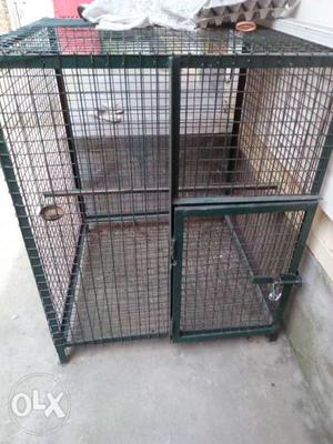 Green Metal Wired Pet Cage