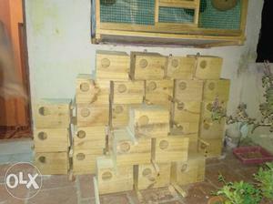 Love Birds Feeding Boxes with Good Quality wooden