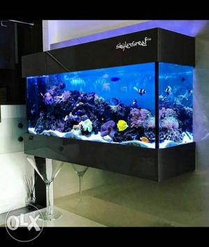 Marine Fish Aquarium one orders as per size. 2ft