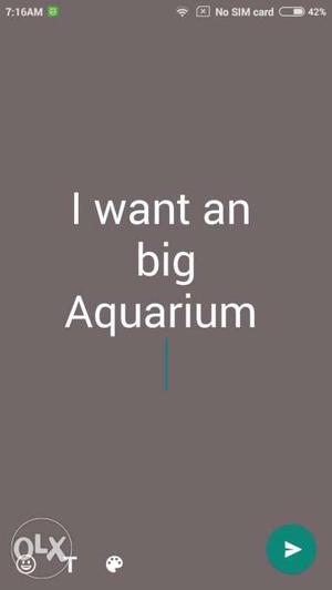 Needed a big aquarium without any damages