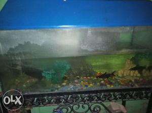 Nice aquarium with filter and heater and stand