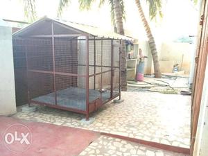 Pet Dog Cage Heavy Metal 5*5*6 Just 3 Months Used Only