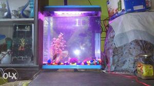 This a fibre aquarium with led light with good
