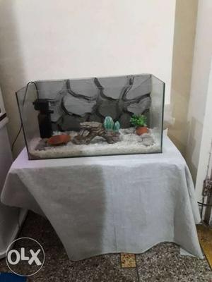 2feet 3D aquarium set-up with sobo filter and stone
