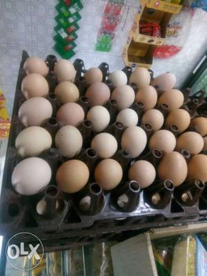 96 rs dozen Pure Desi Eggs