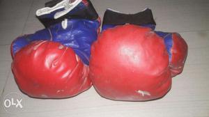 Boxing Cloves
