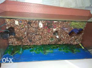 Fish aquarium along with two heaters big size and