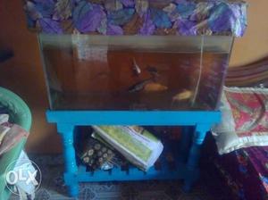 Fish tank 3ft 1.5ft good condition tap stand full