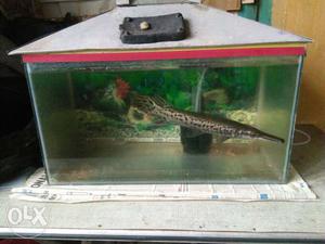 Fish tank for sale new condition