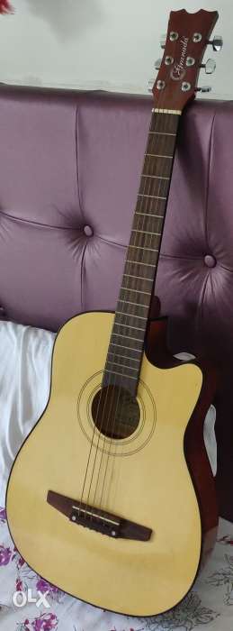 Granada guitar with cover in good condition
