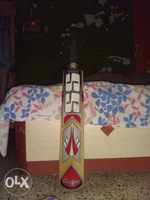 It's ss kashmiri willow bat. I have hardly used it. I got it
